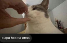 kuva_2026-03-21_003758824.png