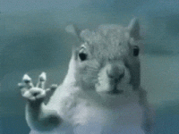 orava_lähtee.gif