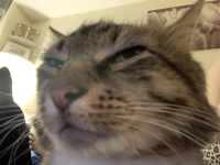 1775470101739.png